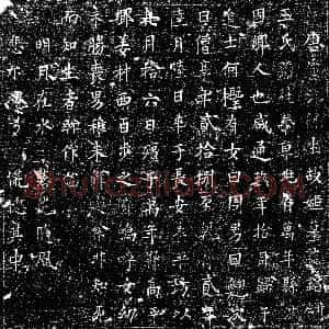 唐代《墓志》拓片原图欣赏下载