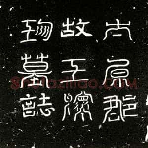 唐代《王怀珍 墓志》拓片原图欣赏下载