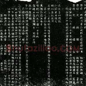 明代《秦嵩 字景山 幼孤 本张姓 墓志》拓片原图欣赏下载