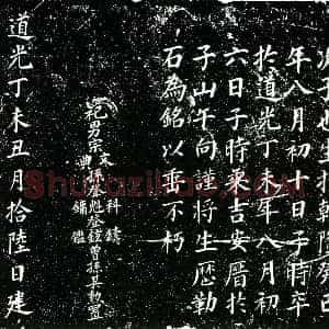 清代《陈纲 墓志》拓片原图欣赏下载