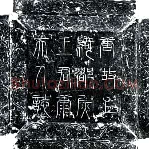 唐代《王君夫人康氏 墓志》拓片原图欣赏下载