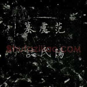唐代《李玄就夫人卢氏 墓志》拓片原图欣赏下载