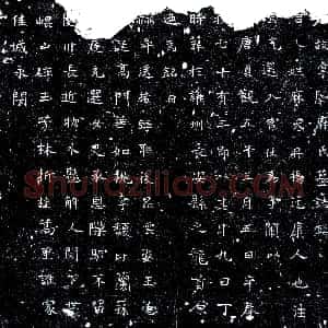 唐代《宫人麻氏 墓志》拓片原图欣赏下载