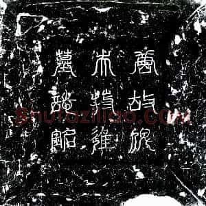 唐代《俾失十囊 墓志》拓片原图欣赏下载