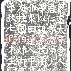 唐代《墓碑》拓片原图欣赏下载
