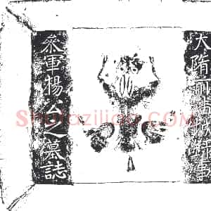 隋代《王振 墓志》拓片原图欣赏下载