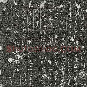 唐代《七品宫尼 墓志》拓片原图欣赏下载