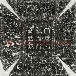 唐代《卢君妻苏氏 墓志》拓片原图欣赏下载