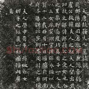 唐代《卢君妻苏氏 墓志》拓片原图欣赏下载