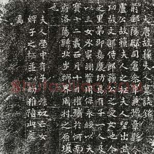唐代《卢君妻苏氏 墓志》拓片原图欣赏下载