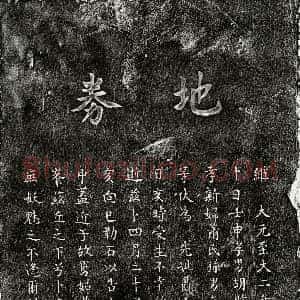 元代《胡时中母聂氏 买地券》拓片原图欣赏下载