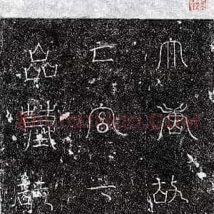 唐代《七品宫尼 墓志》拓片原图欣赏下载