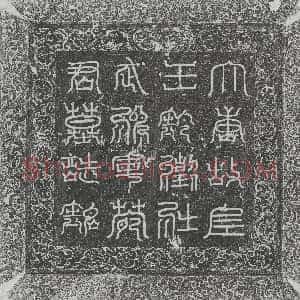 唐代《苑大智 墓志》拓片原图欣赏下载