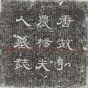 唐代《兰兴妻王氏 墓志》拓片原图欣赏下载