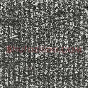 唐代《阳堡 墓志》拓片原图欣赏下载