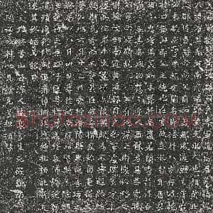 唐代《亡尼 墓志》拓片原图欣赏下载