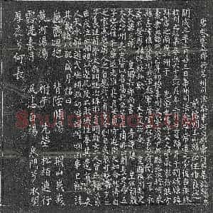 唐代《张【仁】伦 墓志》拓片原图欣赏下载