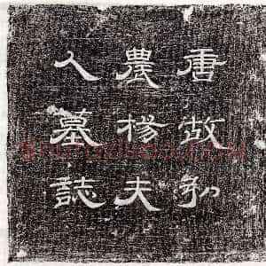唐代《蒋锐 墓志》拓片原图欣赏下载