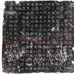唐代《蔺楚珍 墓志》拓片原图欣赏下载