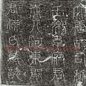 唐代《李善护 墓志》拓片原图欣赏下载