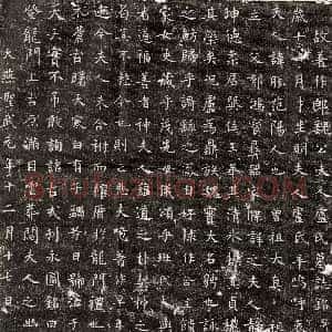 唐代《杨贞 墓志》拓片原图欣赏下载