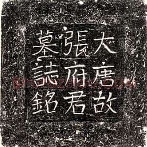 唐代《桓弘仁 墓志》拓片原图欣赏下载
