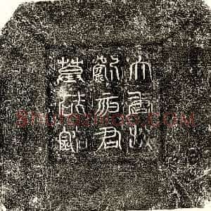 唐代《崔延昭 墓志》拓片原图欣赏下载