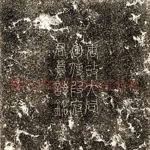 唐代《杨君妻李氏 墓志》拓片原图欣赏下载