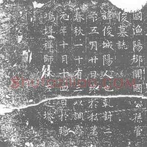 唐代《墓志》拓片原图欣赏下载