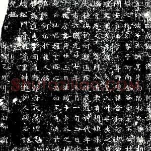 唐代《张尊师 法号若讷 墓志》拓片原图欣赏下载