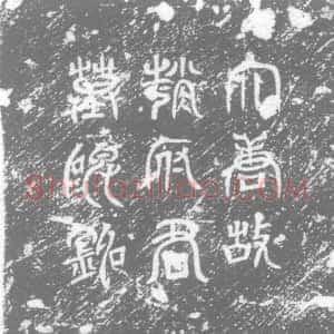 唐代《赵庭秀 墓志》拓片原图欣赏下载