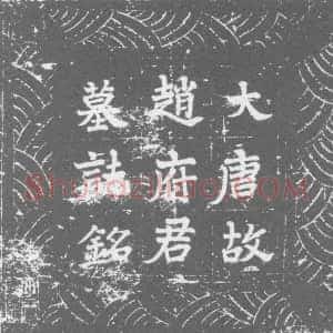 唐代《赵巨源 墓志》拓片原图欣赏下载