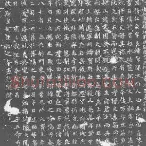 唐代《袁仁爽 墓志》拓片原图欣赏下载