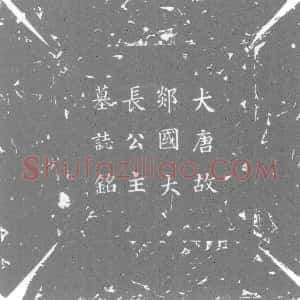唐代《郯国大长公主 墓志》拓片原图欣赏下载