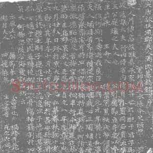 唐代《冯氏 王庭瑰夫人 墓志》拓片原图欣赏下载
