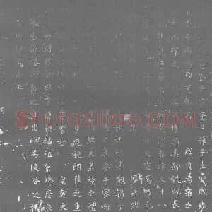 唐代《蒋氏 蒋郕之子 墓志》拓片原图欣赏下载