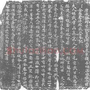 唐代《武氏 赵全泰夫人 墓志》拓片原图欣赏下载