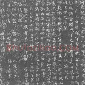 唐代《裴氏第二室女 小号阿八 墓志》拓片原图欣赏下载