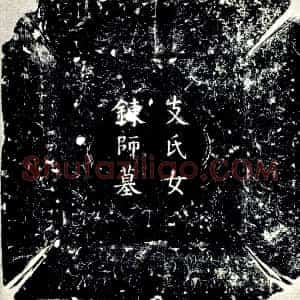 唐代《支志坚 小字新娘子 支氏女炼师 墓志》拓片原图欣赏下载