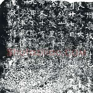 唐代《毛场妻李夫人 墓志》拓片原图欣赏下载