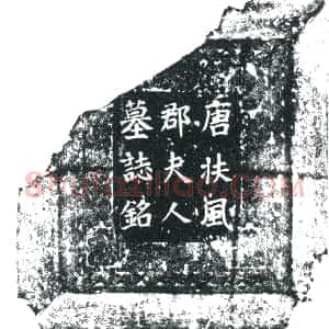 唐代《杜府君夫人韦氏 墓志》拓片原图欣赏下载