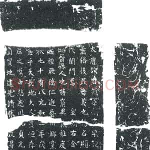 唐代《樊□言□ 墓志》拓片原图欣赏下载