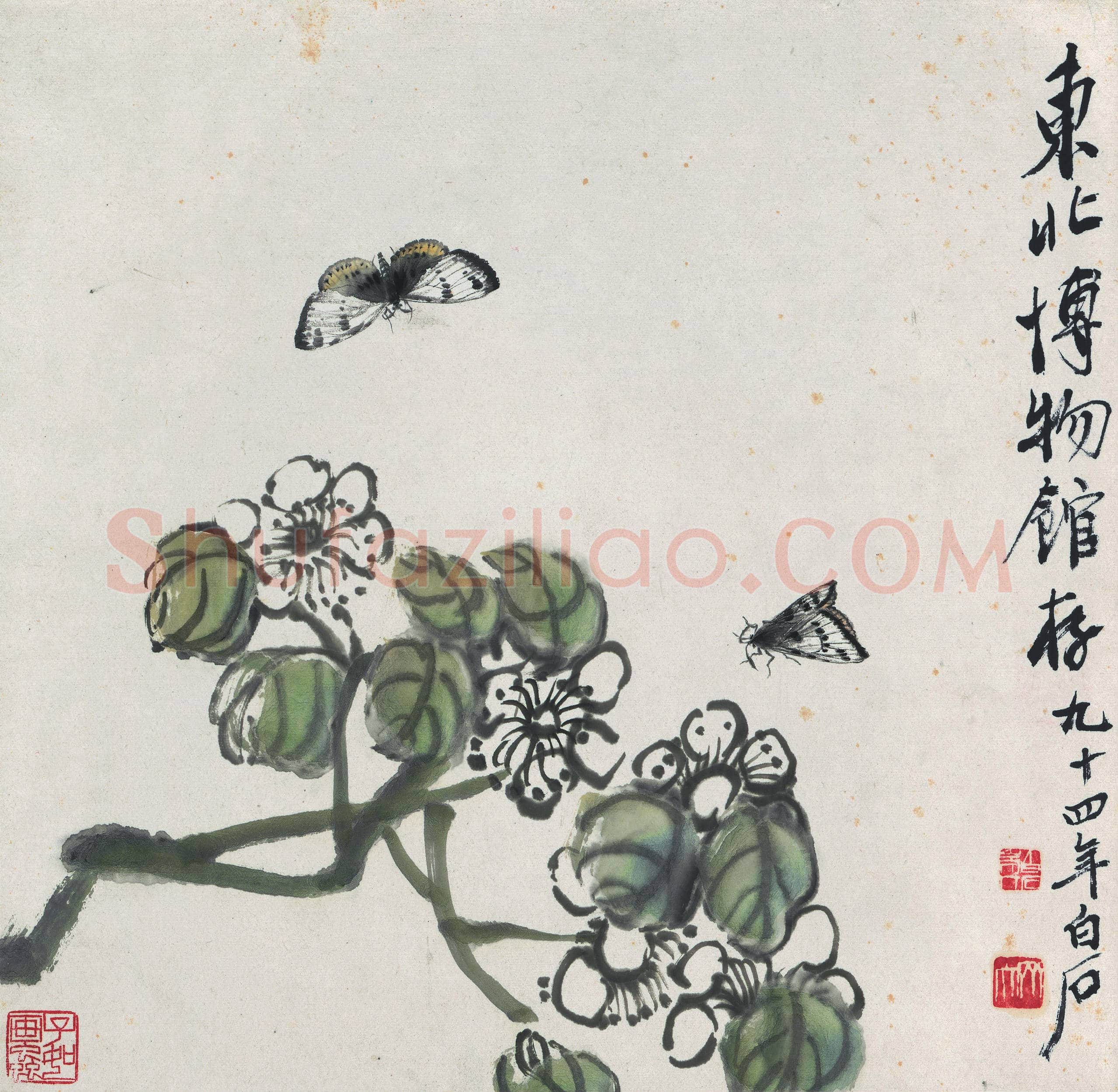 齐白石 蝴蝶双飞图