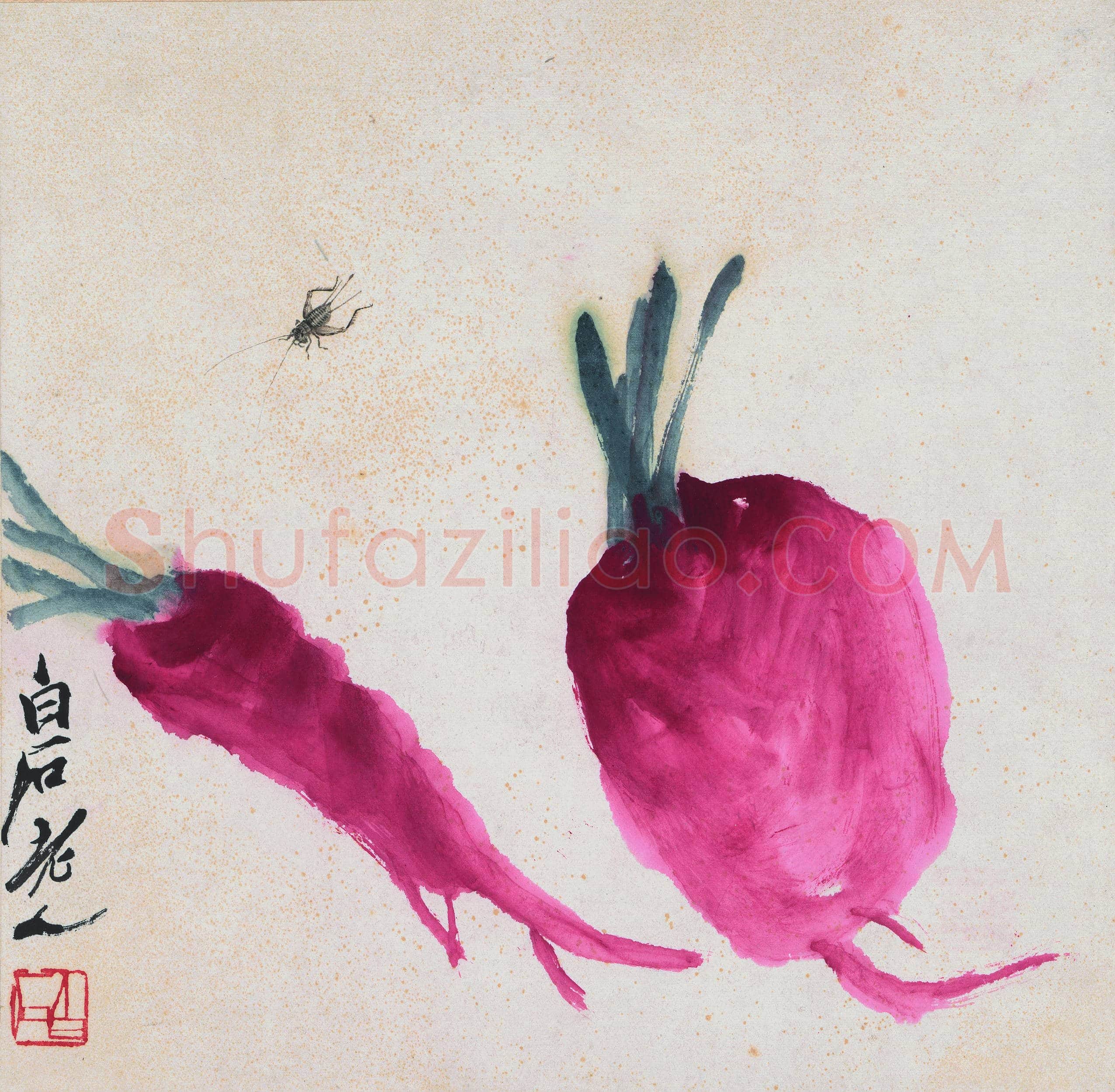 齐白石 萝卜草虫图