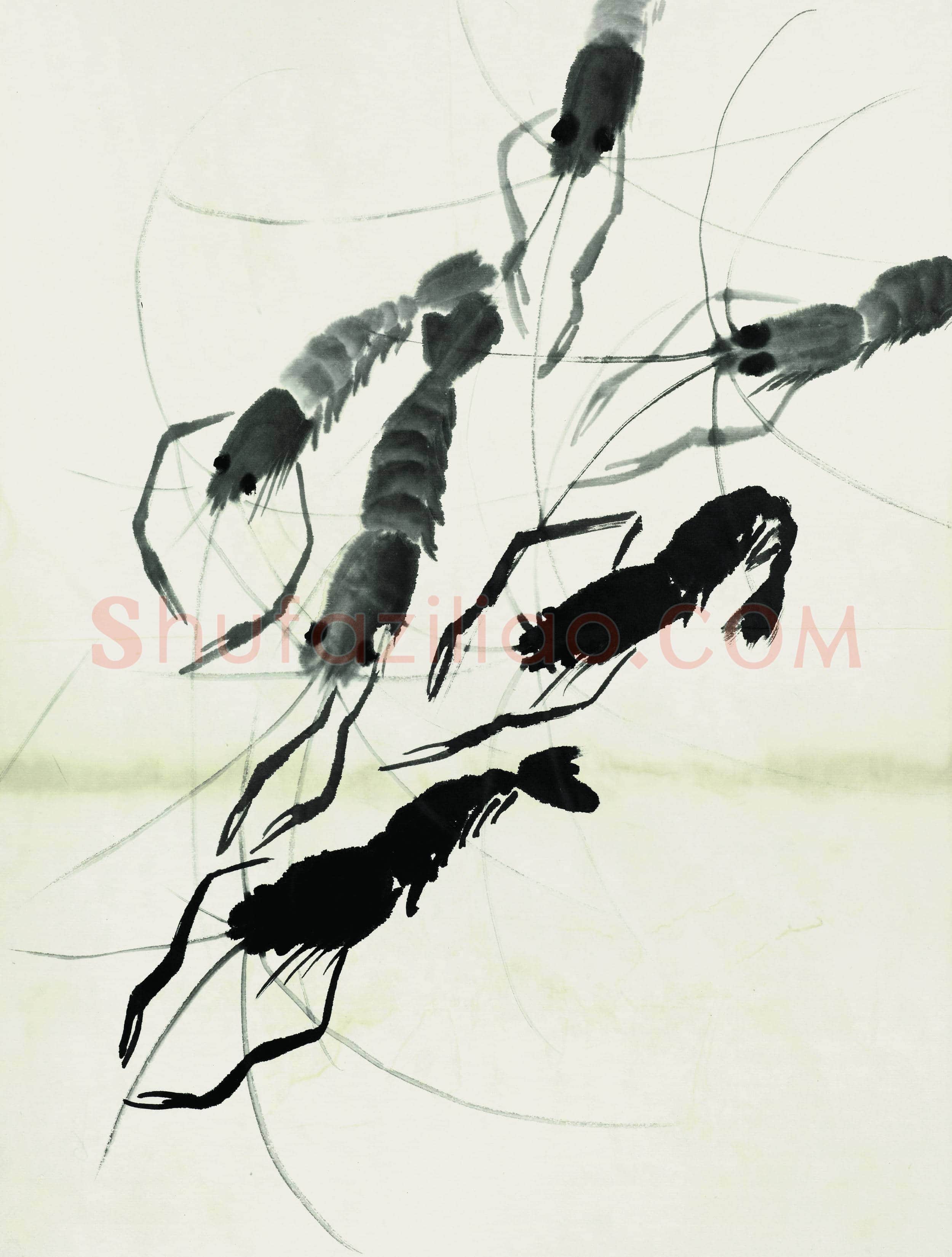 齐白石 鱼虾册页-17