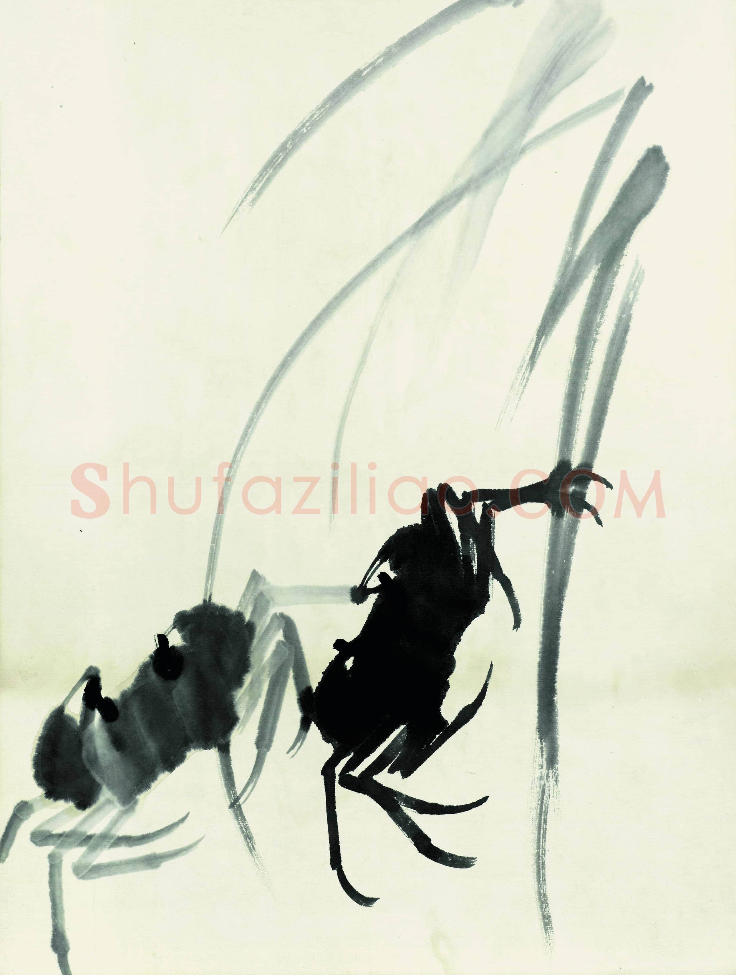 齐白石 鱼虾册页-27
