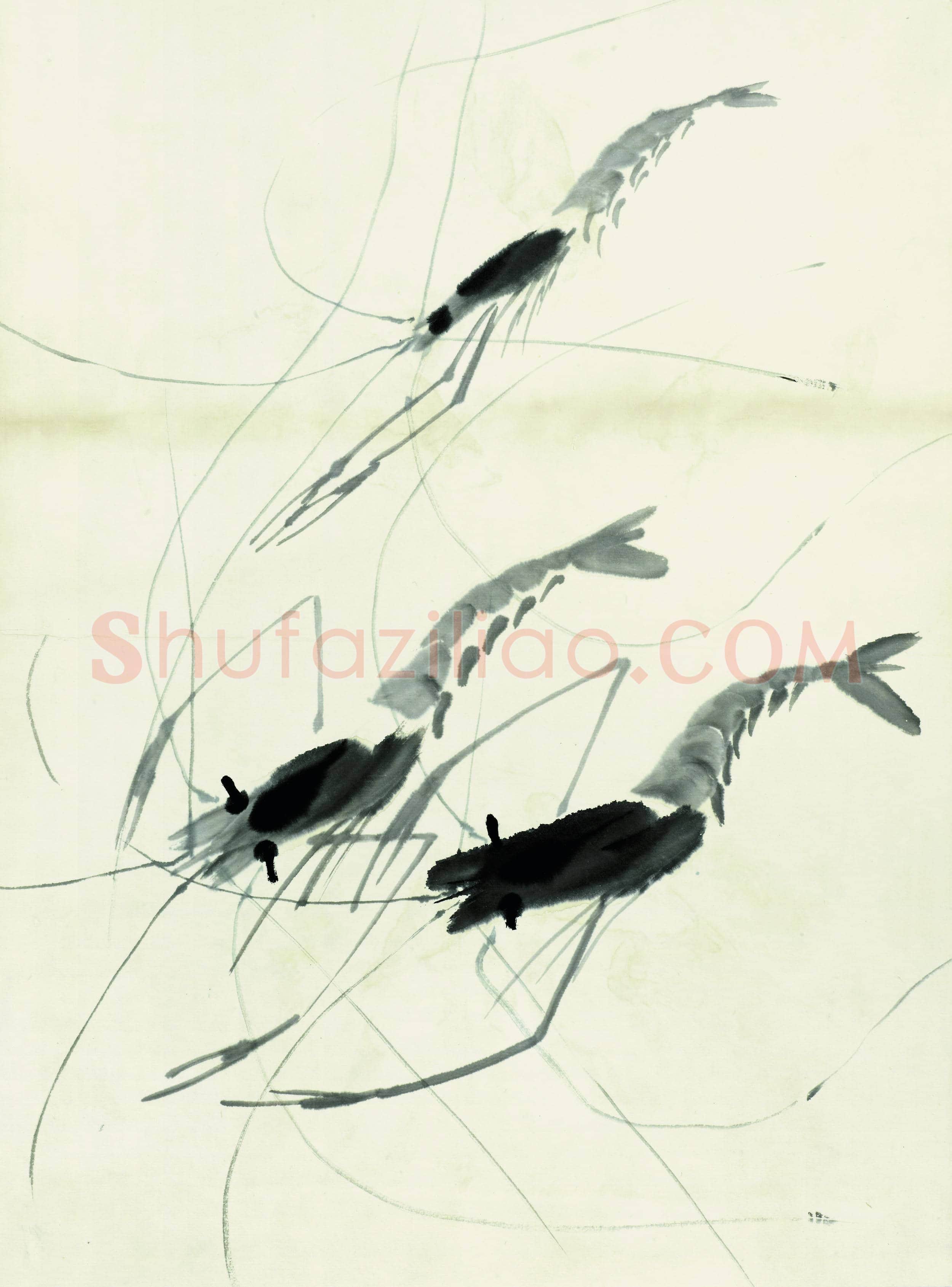 齐白石 鱼虾册页-31