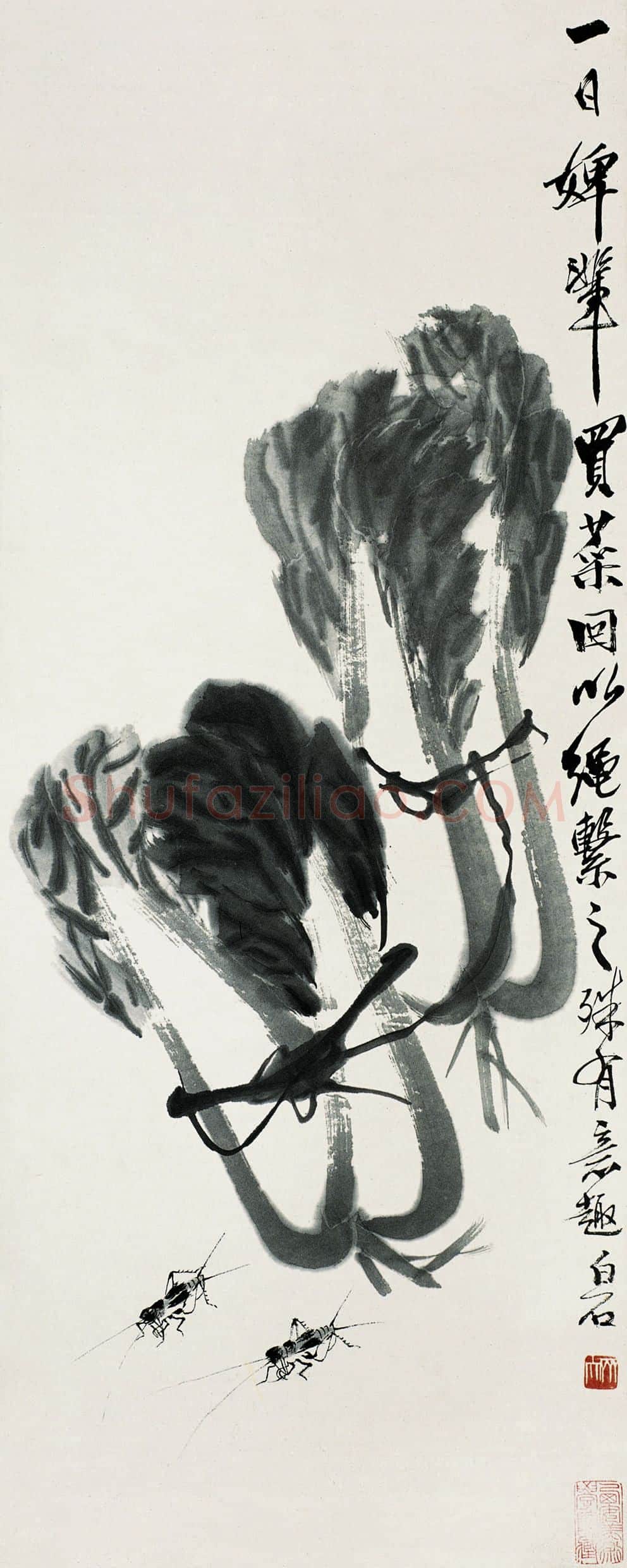 齐白石 大白菜
