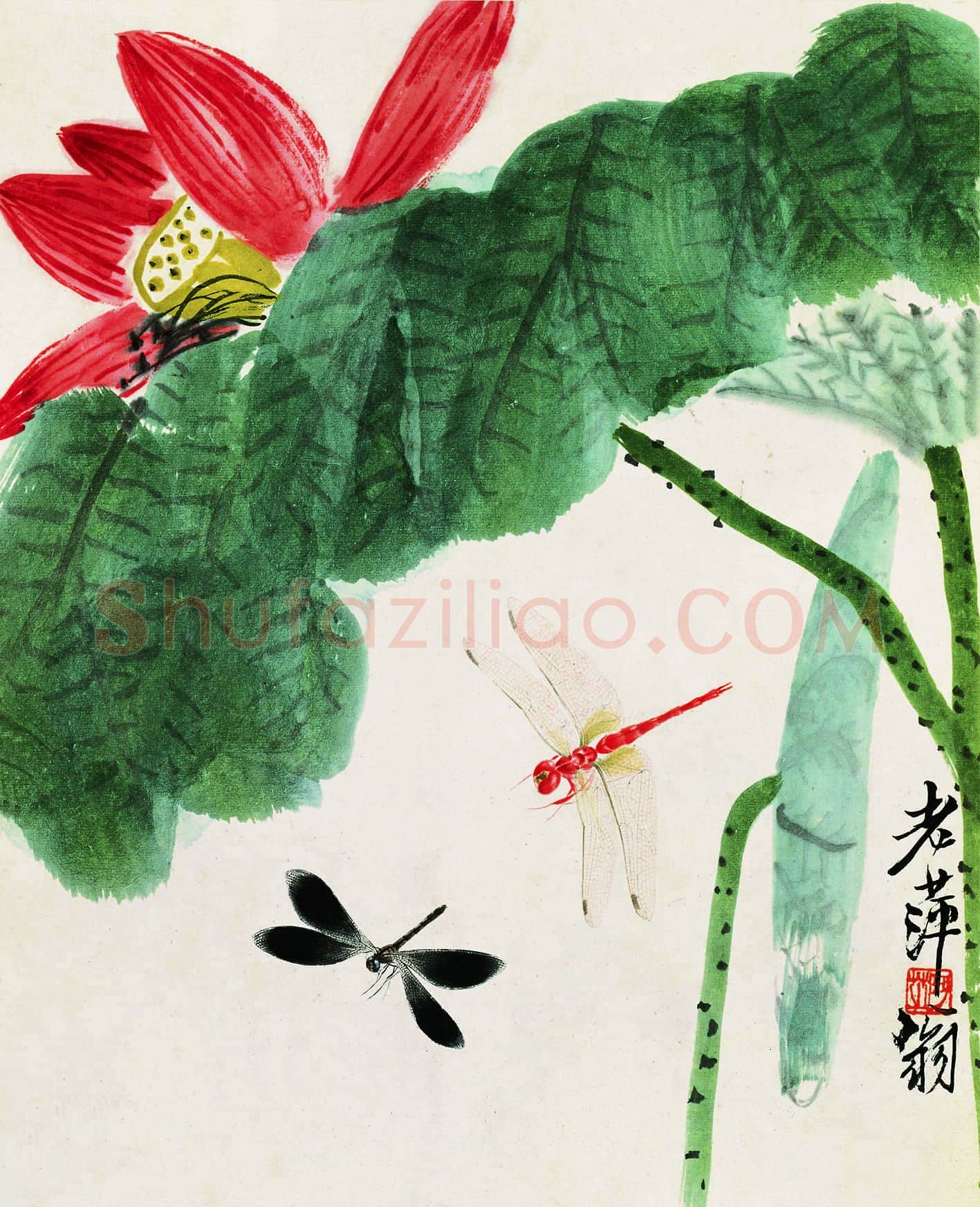 齐白石 荷花-02