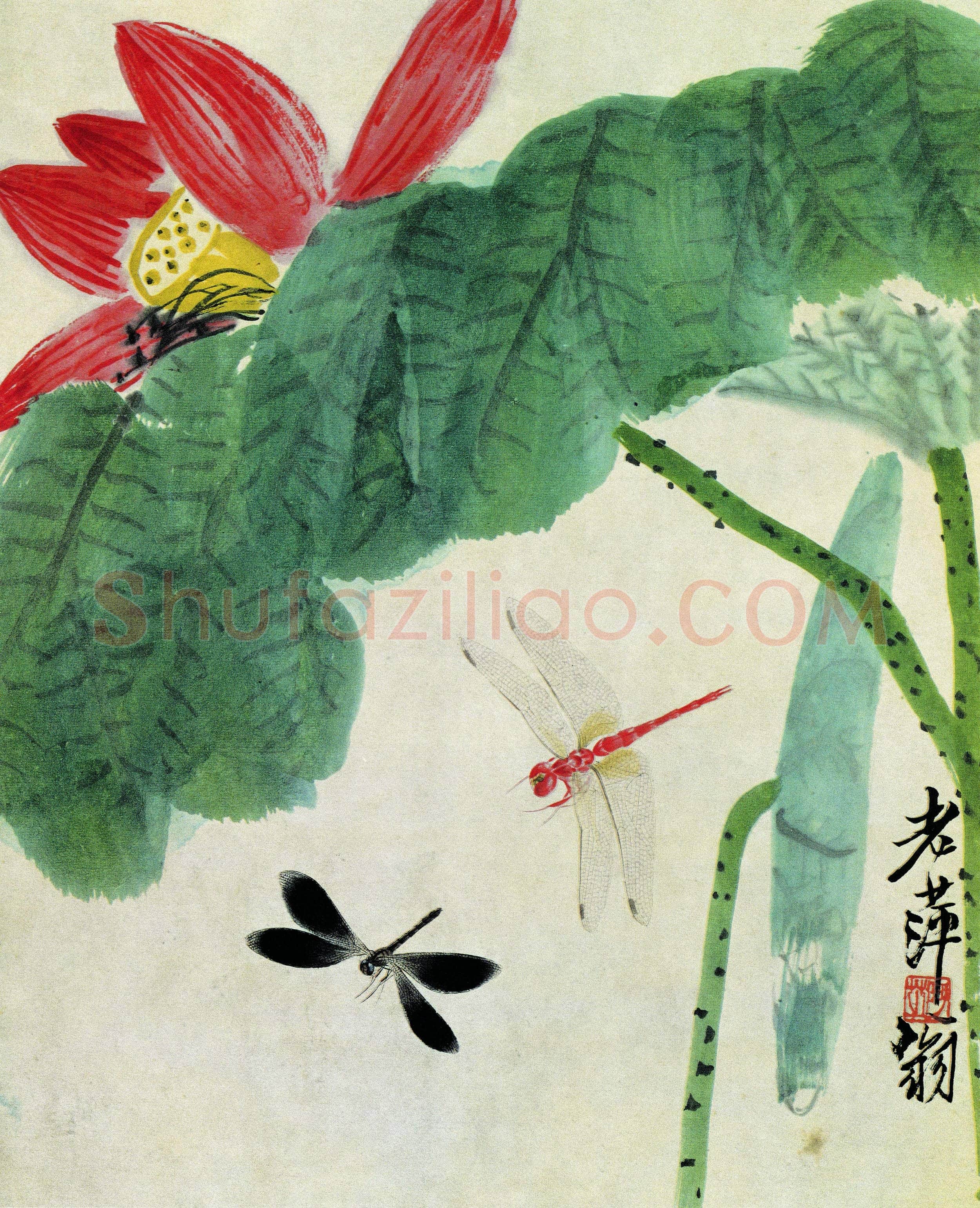 齐白石 荷花蜻蜓 453×367